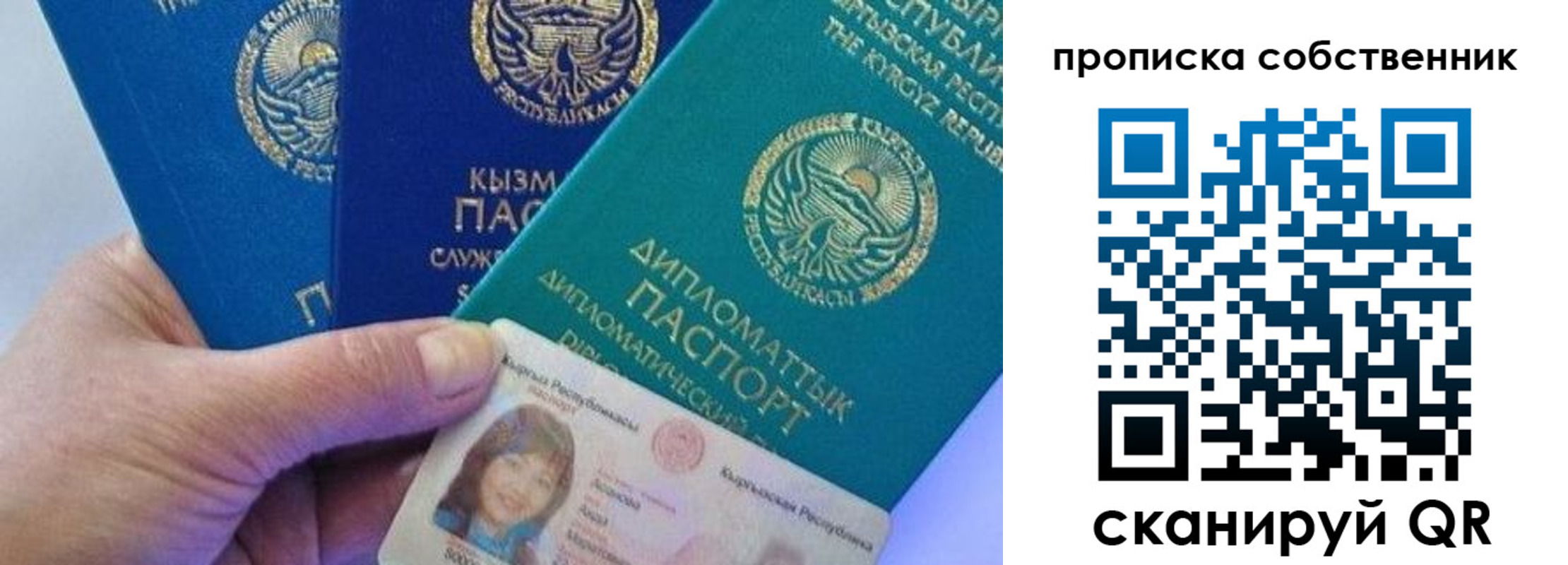 найти адрес прописки в Могочи